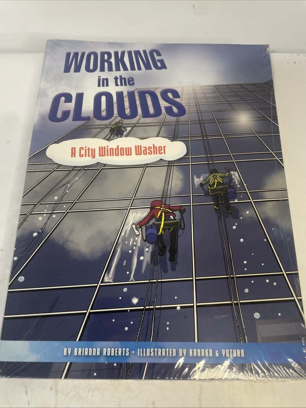 Fountas & Pinell Literacy Sealed 6 Pack Book Set Working In The Clouds